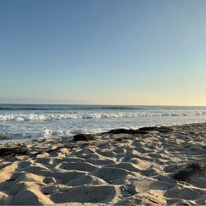 Meet your Posher, Kat